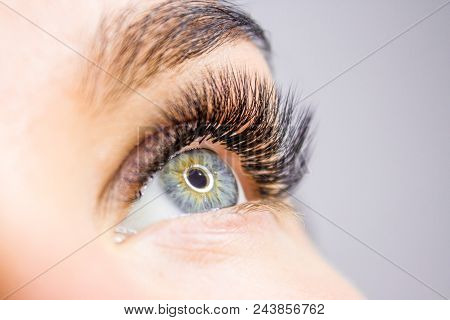 Eyelash Extension Procedure. Woman Eye With Long False Eyelashes. Close Up Macro Shot Of Fashion Eye