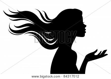 Silhouette Of Beautiful Girl In Profile With Long Hair