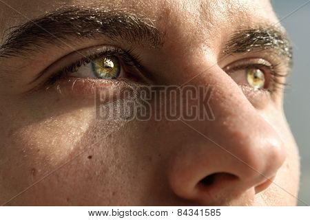 Macro Shot Of Man's Eye