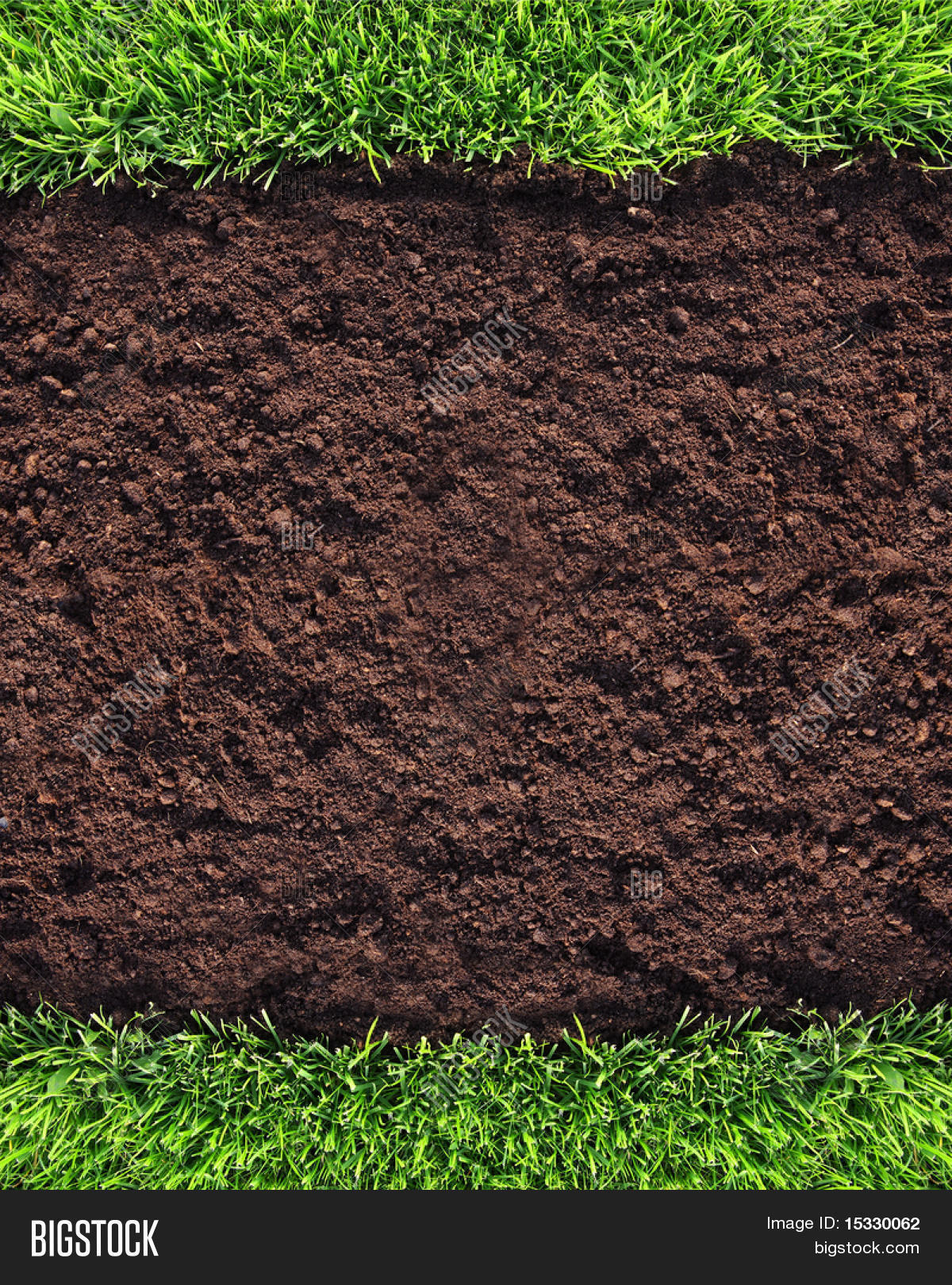 Healthy Grass Soil Image & Photo (Free Trial) | Bigstock