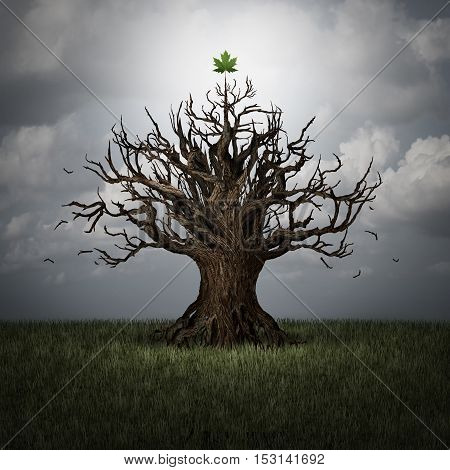 Concept of optimism as a tree in crisis with no leaves and one green leaf surviving as a business or psychological symbol of persistence and determination to have faith and never give up with 3D illustration elements.