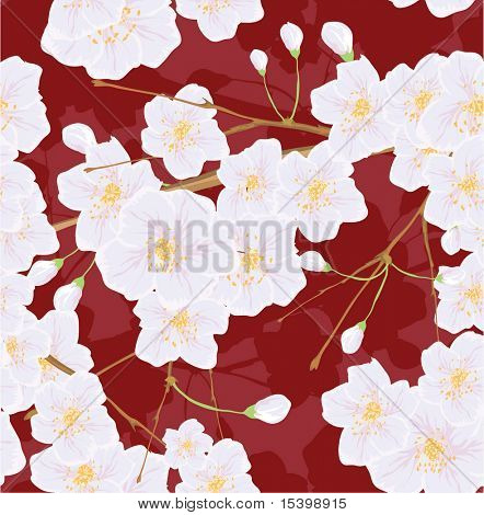 Cherry flower. Seamless vector background.