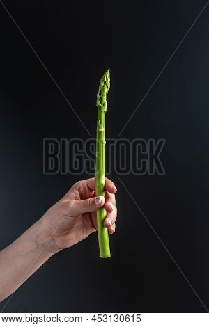 Asparagus. Bunch Of Fresh Asparagus In Women's Hands. Banches Of Fresh Green Asparagus On Dark Backg