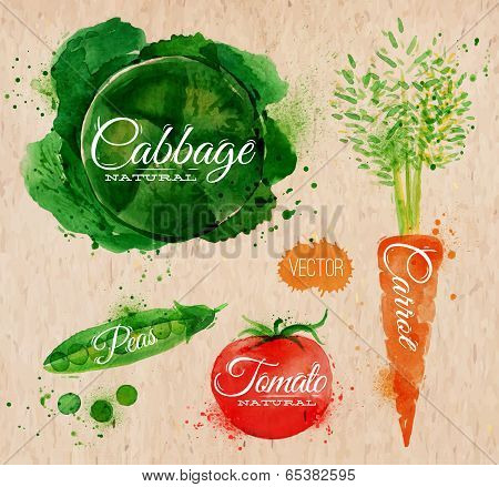 Vegetables watercolor cabbage, carrot, tomato, peas kraft