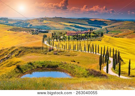 Amazing Colorful Sunset In Tuscany. Picturesque Agrotourism And Typical Curved Road With Cypress, Cr