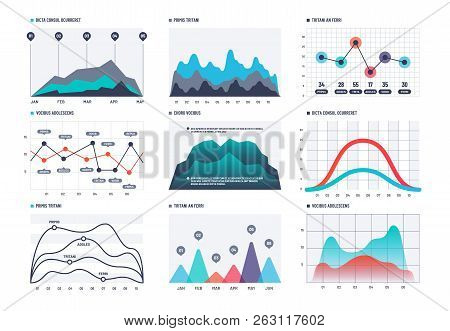 Infographic Chart. Statistics Bar Graphs, Economic Diagrams And Charts. Demographic Infographics Vec