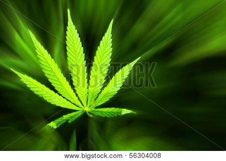 Marijuana Background