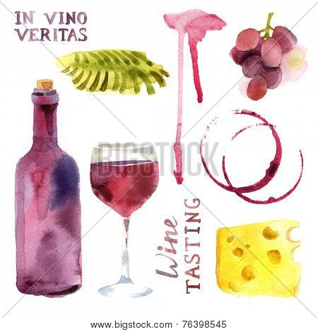 Bright watercolor wine design elements (in vino veritas - verity in wine)