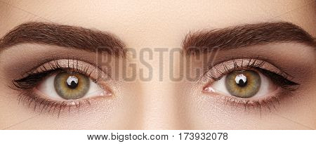 Close-up Macro Of Beautiful Female Eye With Perfect Shape Eyebrows. Clean Skin, Fashion Naturel Make