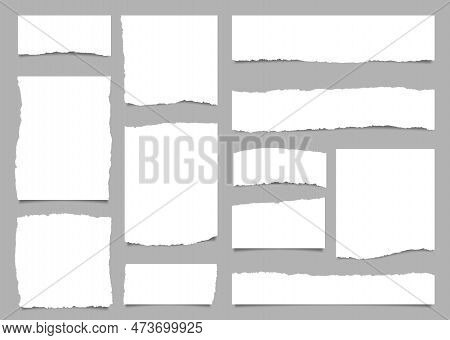 White Torn Paper Rip Pieces Of Sheet Edge, Note Scrap Or Notebook Pages, Vector Backgrounds. Notepad