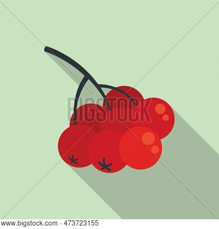 Rowan Branch Berries Icon. Flat Illustration Of Rowan Branch Berries Icon For Web Design