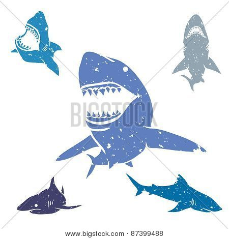 Set of Sharks