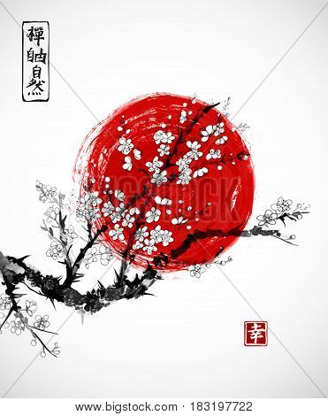 Sakura in blossom and red sun, symbol of Japan on white background. Contains hieroglyphs - zen, freedom, nature, happiness. Traditional Japanese ink painting sumi-e.