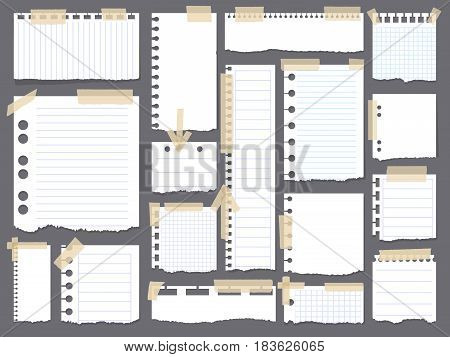 Notebook papers with torn, ripped edge vector set attached with sticky tape on grey background . Ripped paper page, empty damaged rip paper illustration. Realistic vector illustration