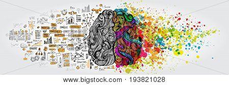 Left right human brain concept. Creative part and logic part with social and business doodle isolated on white background