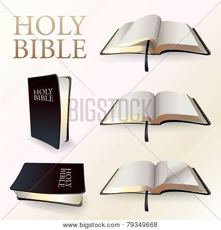 Illustration Of Holy Bibles