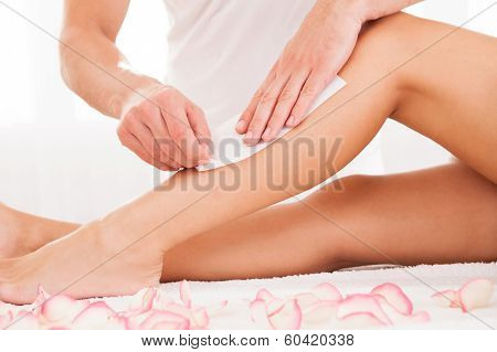 Beautician Waxing A Womans Leg