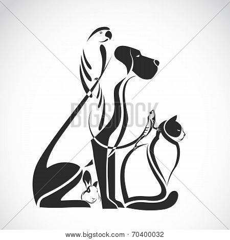 Vector Group Of Pets - Dog, Cat, Bird, Reptile, Rabbit,