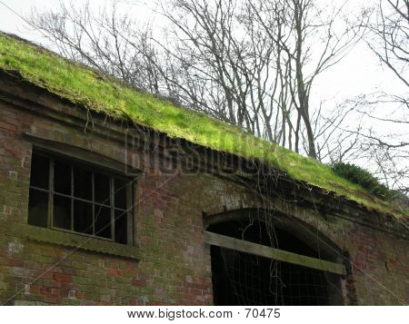 Grassy Roof