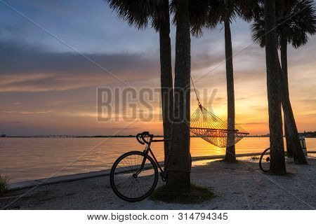 Palm Trees At Sunset In Siesta Key Beach, Sarasota, Florida