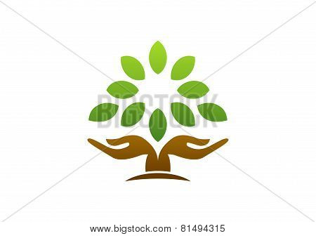 tree hand logo, wellness hand tree health logo symbol icon design vector.