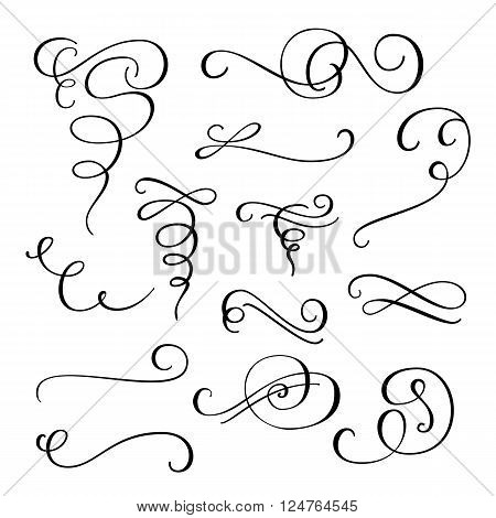 Flourish swirl ornate decoration for pointed pen ink calligraphy style. Quill pen flourishes. For calligraphy graphic design postcard menu wedding invitation romantic style.