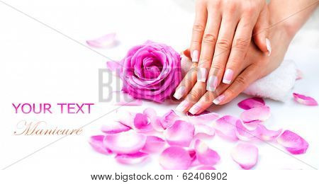 Manicure and Hands Spa. Beautiful Woman hands closeup. Manicured nails and Soft skin. Beauty hands with rose flower petals. Beauty treatment. Beautiful woman's nails with beautiful french manicure 