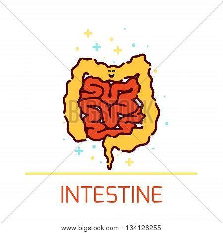 Vector illustration of large and small intestine. Intestine icon made in cartoon style. Cute intestine cartoon character. Human body organs anatomy icon. Human internal organ symbol. Medical concept.