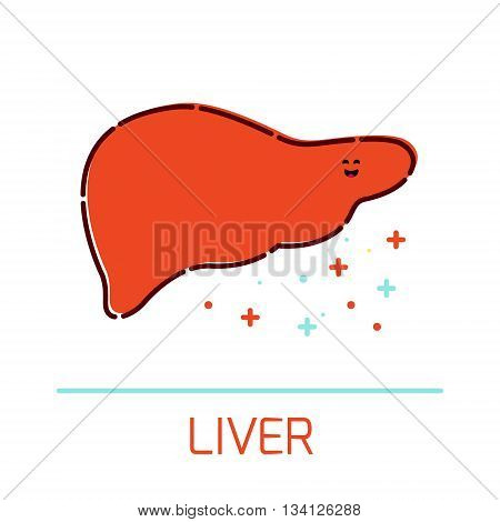 Cute healthy liver icon made in cartoon style. Liver cartoon character. Human body organs anatomy icon. Medical human internal organ symbol. Medical concept. Vector illustration.