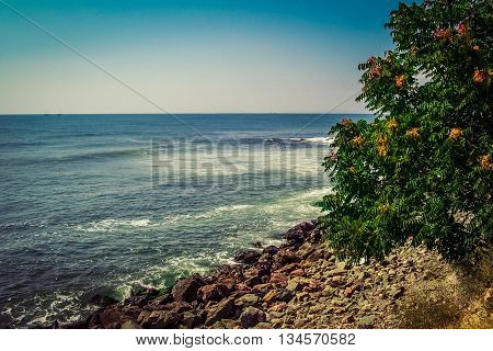 Beautiful sea with blue summer wave and tree on beach. Summer sea background. Endless sea. Daylight sea. Turquoise sea. Sea foam and brown rocks. Sunny day sea view. Sea waves against rocks. Sea rock.