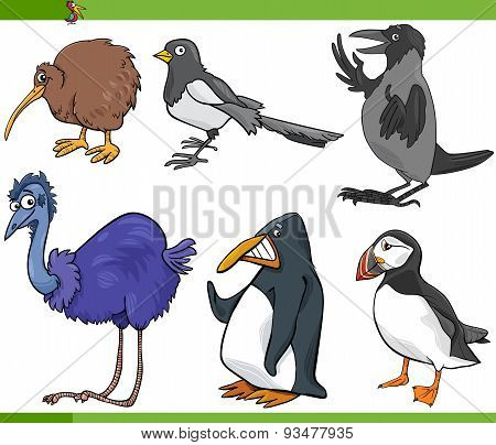 Birds Cartoon Set Illustration