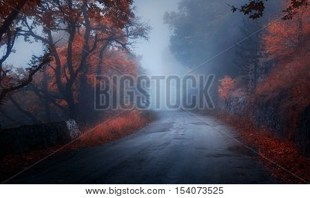 Mystical Autumn Forest With Road In Fog