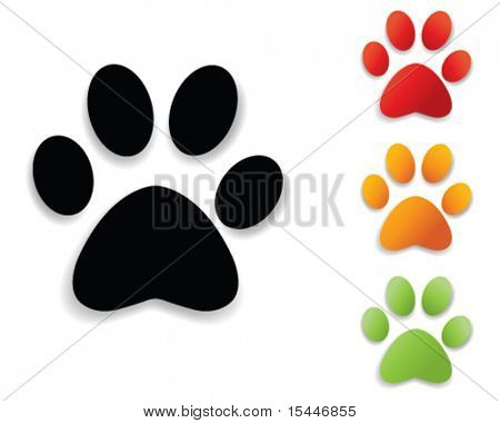  paw print collection