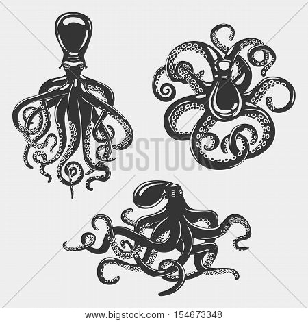 Black octopus or underwater swimming mollusk. Ocean cephalopod or octopus with swirl suction cups, set of isolated mollusk and octopus. May be used for nautical wildlife banner or zoology logo