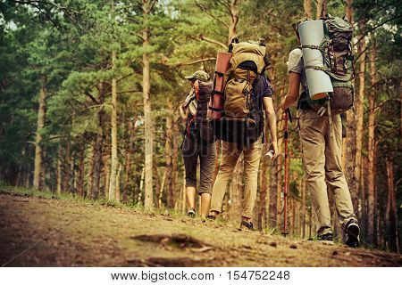 Adventure and hiking. Group of young people make a hike in mountains. Active lifestyle. Tourist equipment.