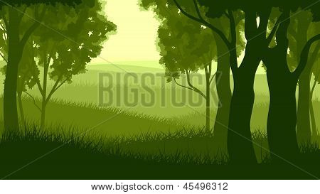 Illustrazione orizzontale all'interno della foresta.