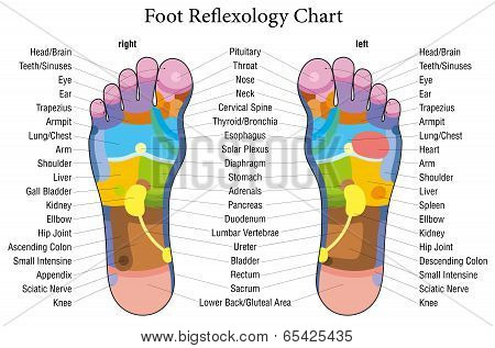 Foot reflexology chart description