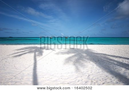 Beautiful tropical beach with two coco palmâs shadows on white sand