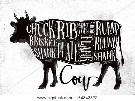 Poster beef cutting scheme lettering chuck brisket shank rib plate flank sirloin shortloin rump round shank in vintage style drawing on dirty paper background