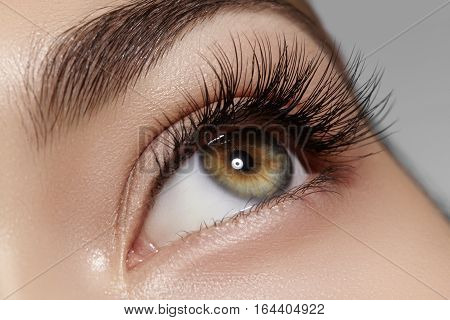 Beautiful macro shot of female eye with classic clean makeup. Perfect shape of eyebrows brown eyeshadows and long eyelashes. Cosmetics and make-up. Closeup macro shot of fashion natural eyes visage