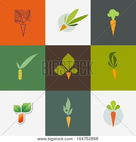 Carrot. Set of decorative design elements