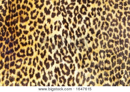 Leopard Pattern