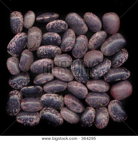 Black Kidney Beans