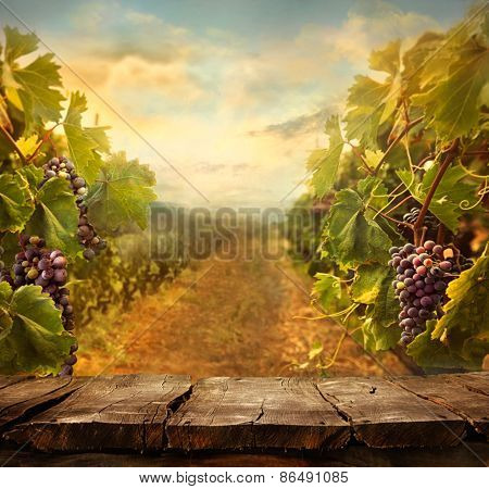 Vineyard Design