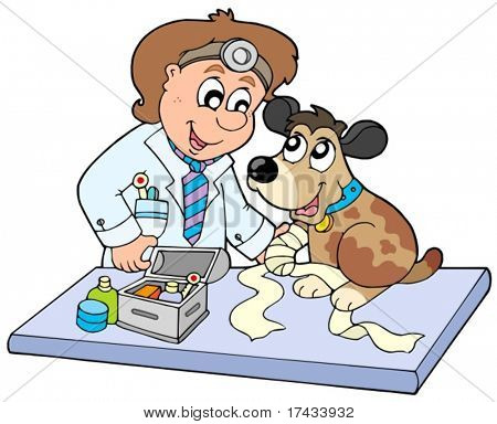 Dog with sick paw at veterinarian - vector illustration.