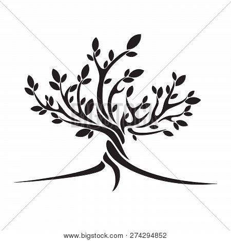 Decorative Tree, Vector Illustration, Eco Tree, Vector Illustration
Tree Silhouette Icon, Tree Silho