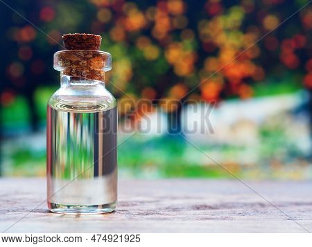 Glass Bottle Of Orange Essential Oil On Background Of Orange Trees, Herbal Medicinal Oil Concept.