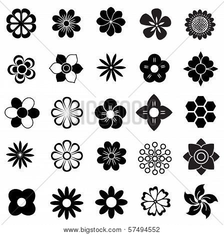 Flower Vector Set