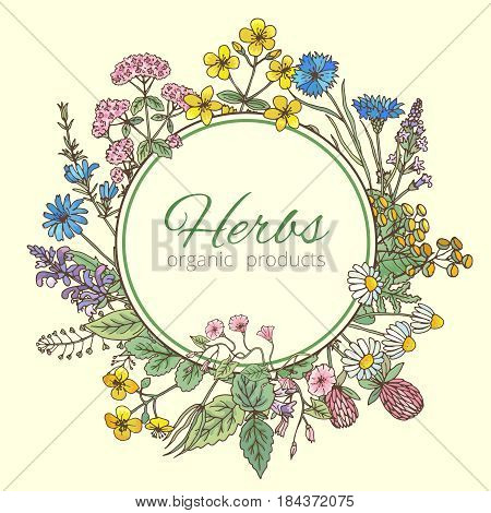 Vector illustration in circle shape. Herbs background, fresh leaves and different flowers. Frame with place for your text. Round emblem herbs organic products and badge for organic herbs