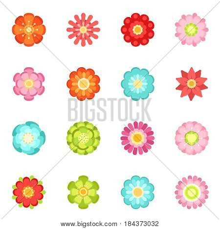 Flat style different flowers in garden. Summer vector icon set isolate on white background. Spring flower blossom, illustration of flower with color petals